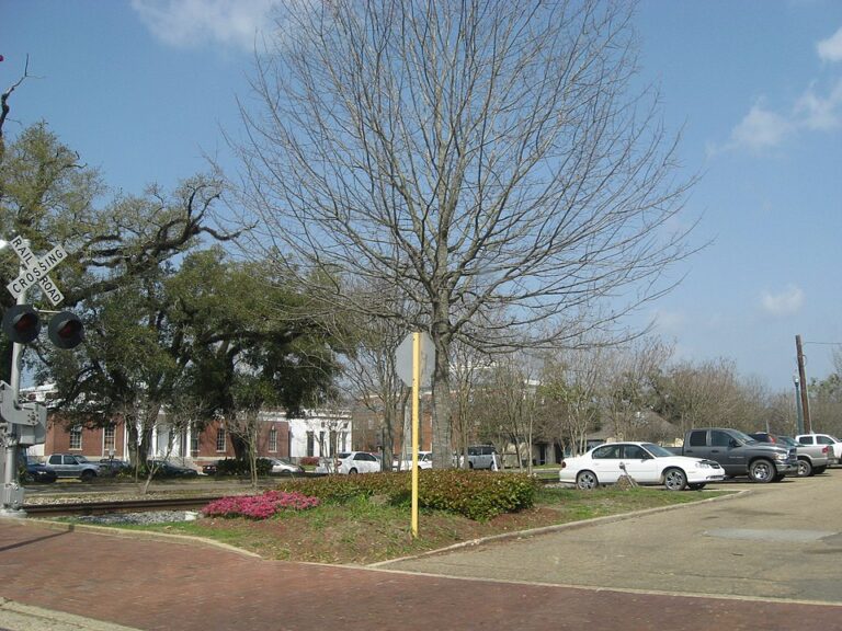 Downtown Hammond railroad crossing area, March 2008